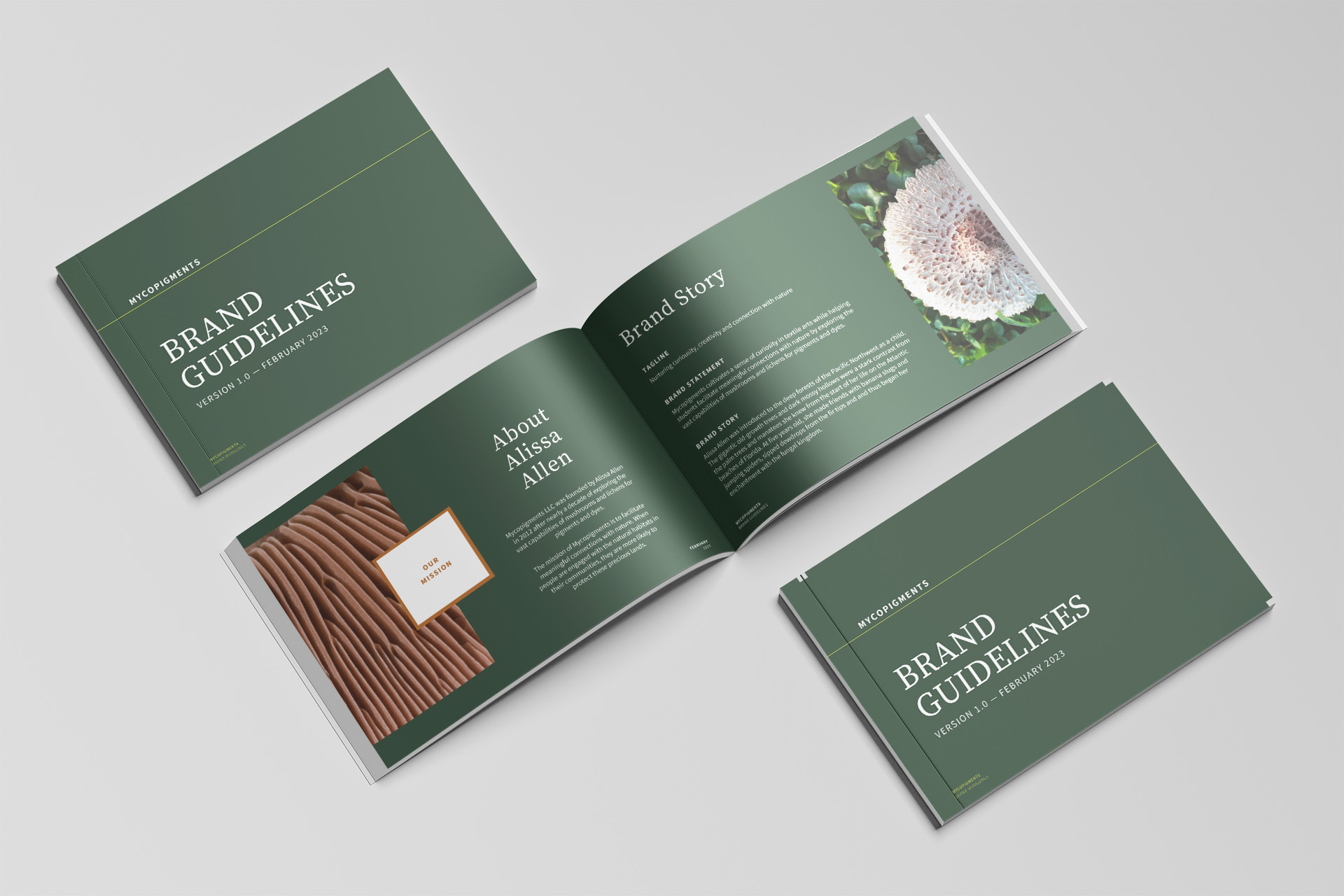 brand guide mockup